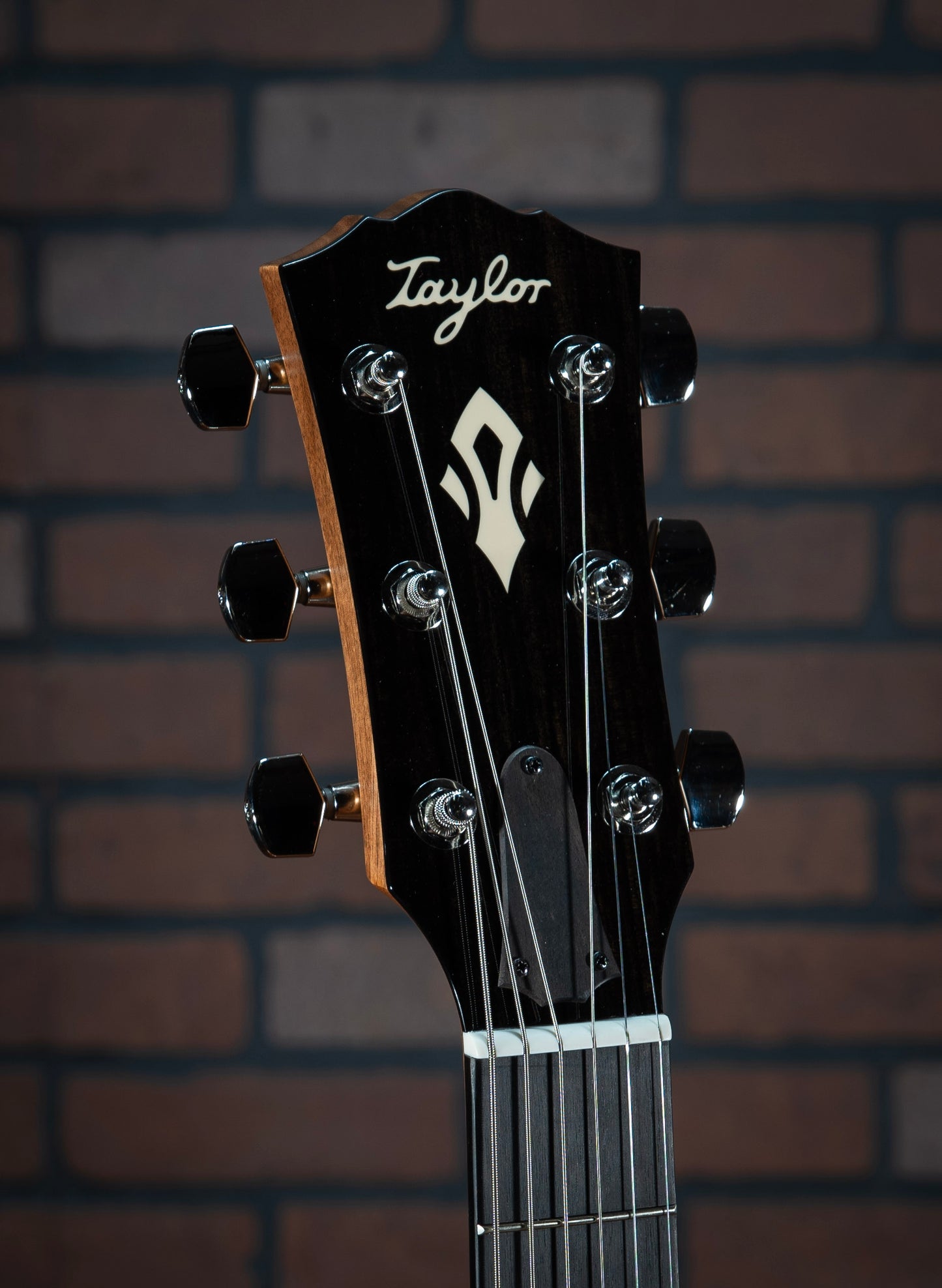 Taylor Trey Hensley Gold Label 510e Special Edition