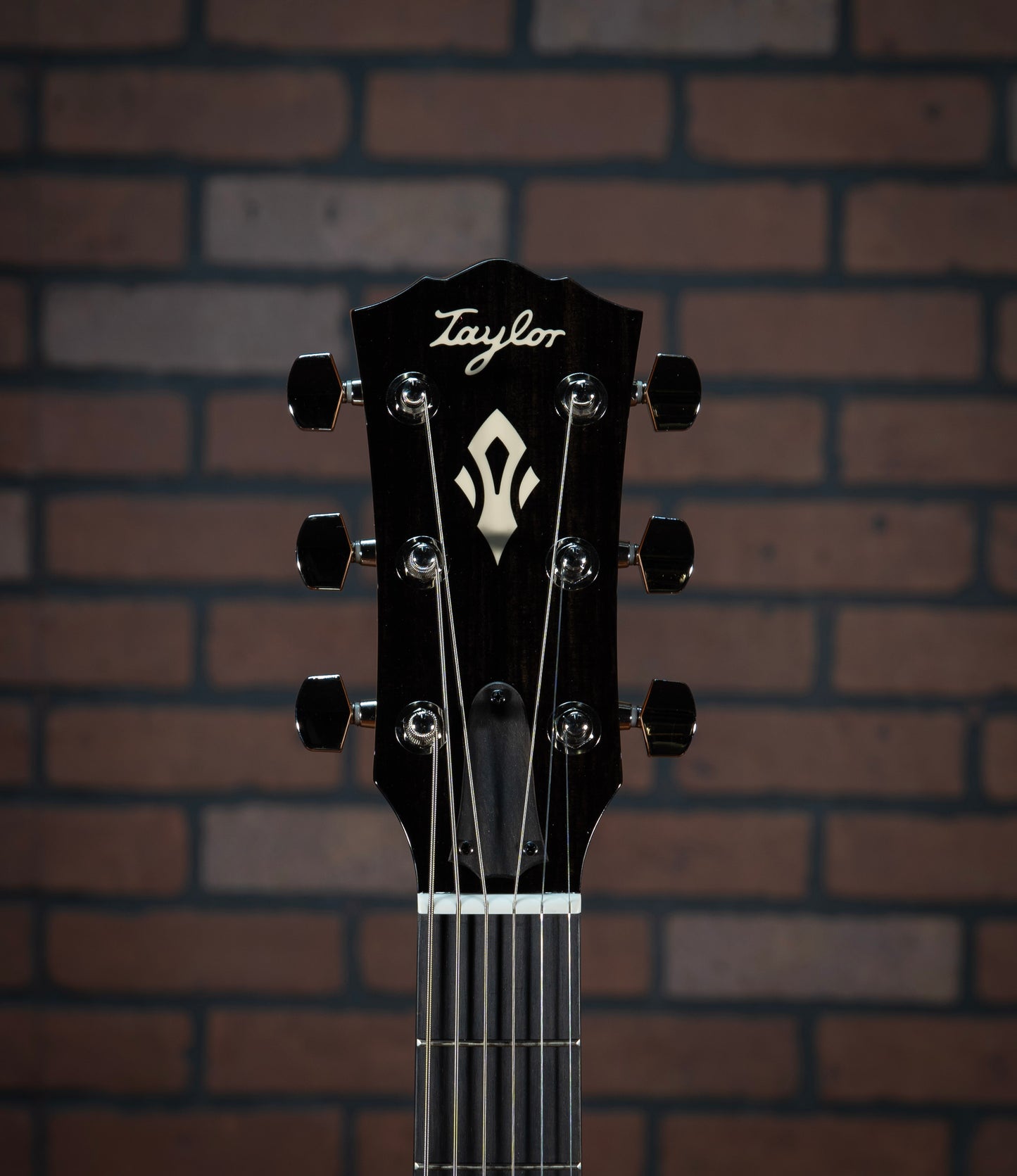 Taylor Trey Hensley Gold Label 510e Special Edition