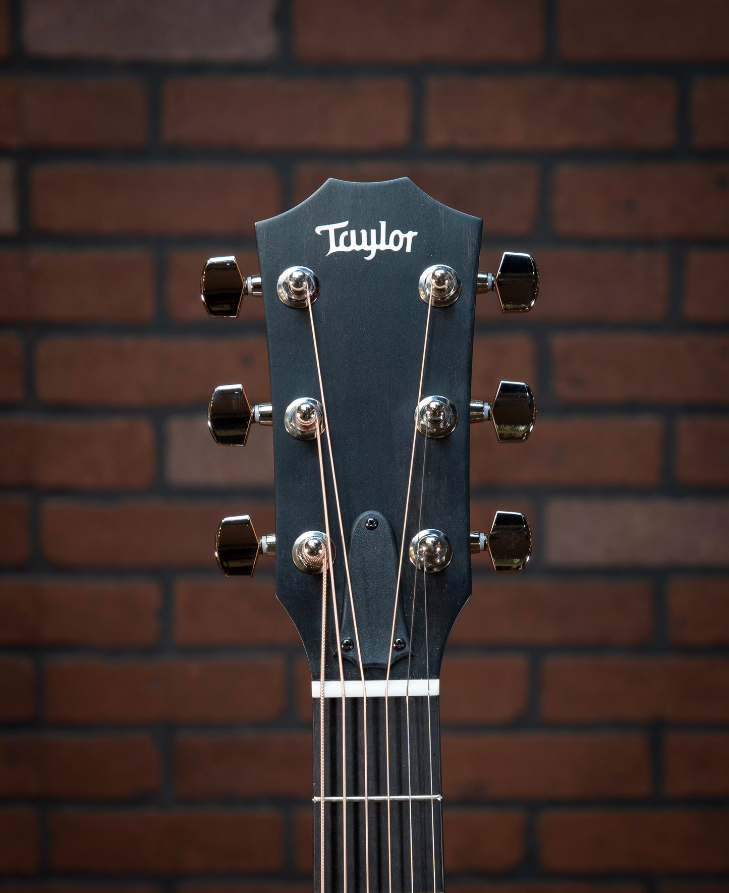 Taylor 212ce Plus