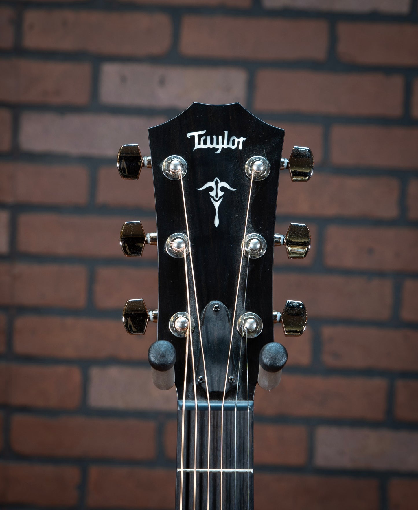 Taylor 514ce Urban Ironbark