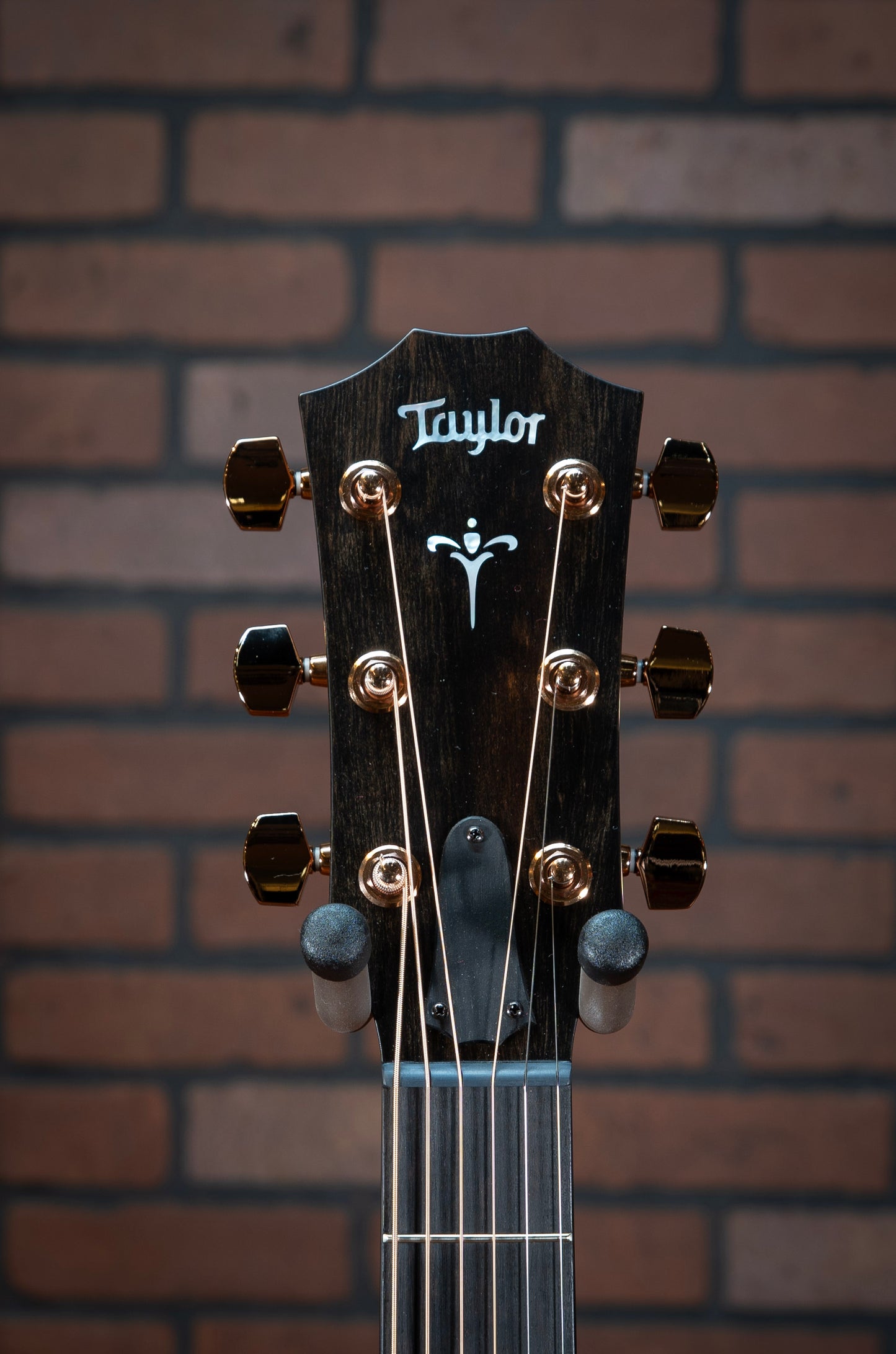 Acoustic Taylor 724ce Guitar headstock with mother-of-pearl fountain inlays